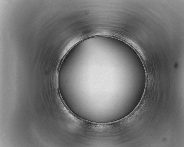 X0000095541290200712211339