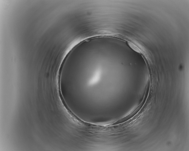 X0000095541291200712211339