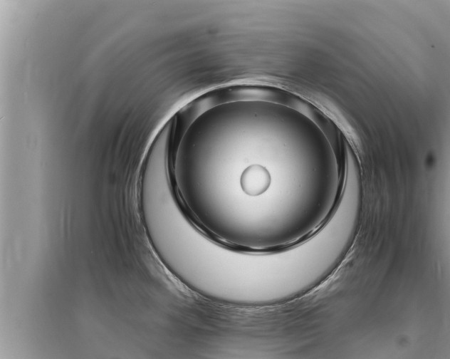 X0000095541292200712211339