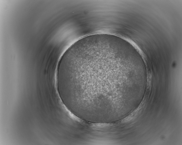 X0000095541294200712211339