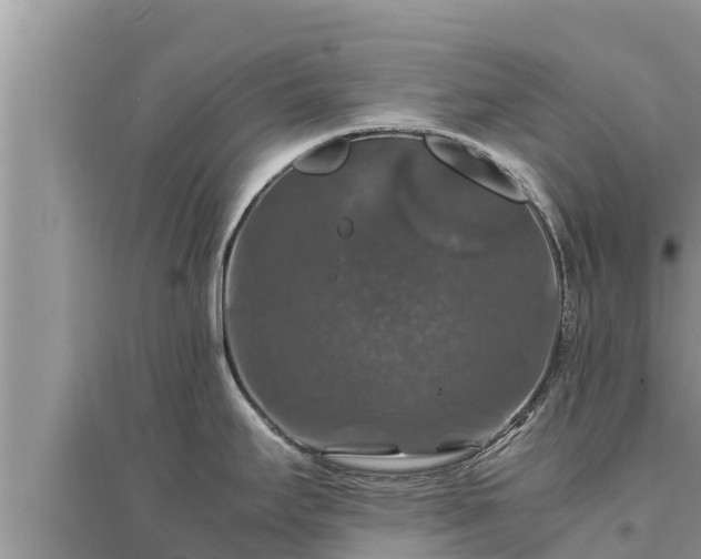 X0000095541295200712211339