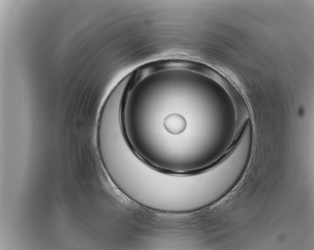 X0000095541296200712211339