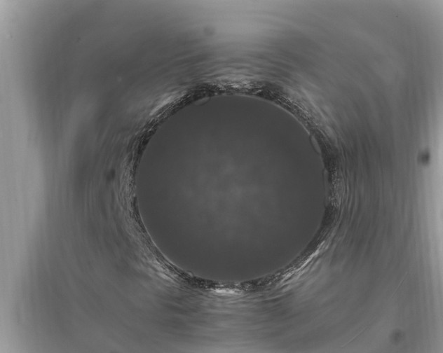 X0000095541297200712211338