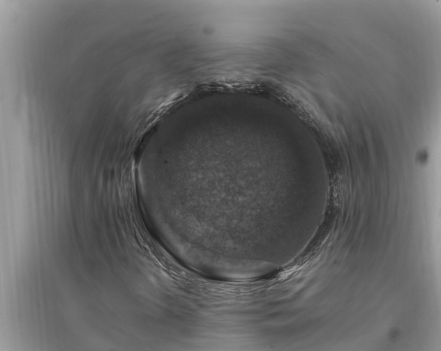 X0000095541298200712211338