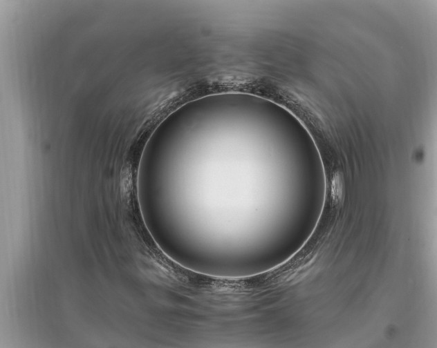 X0000095541299200712211338