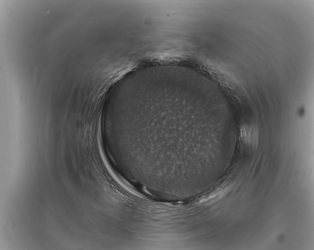 X0000095541300200712211338