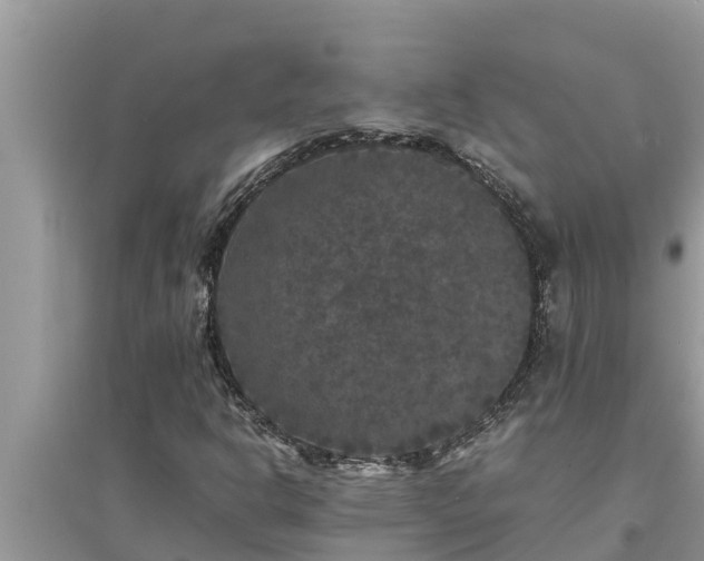 X0000095541302200712211339