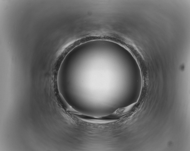 X0000095541304200712211339