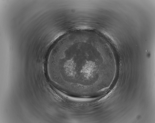 X0000095541305200712211339