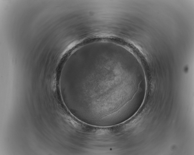 X0000095541306200712211339