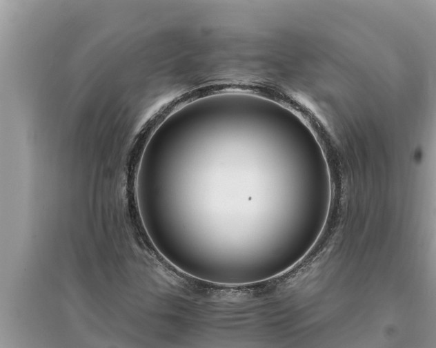 X0000095541307200712211339