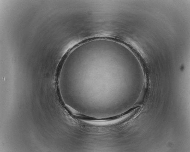 X0000095541308200712211339