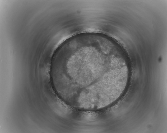 X0000095541314200712211339