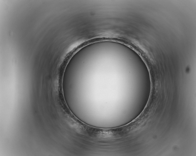 X0000095541315200712211339