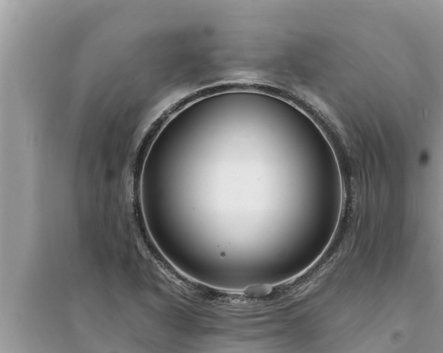 X0000095541318200712211339