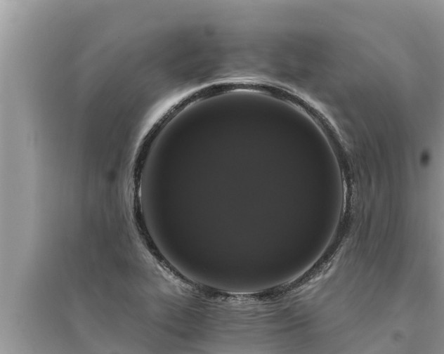 X0000095541319200712211339