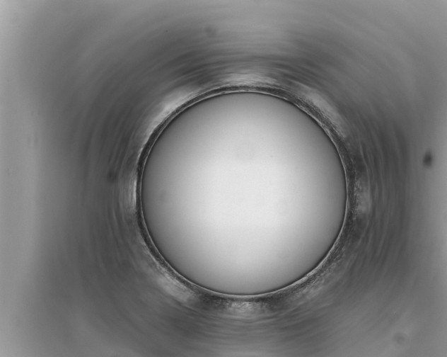 X0000095541322200712211339