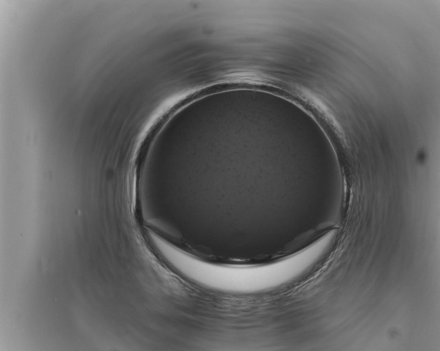 X0000095541323200712211339