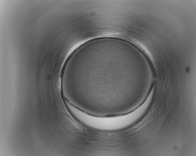 X0000095541324200712211339