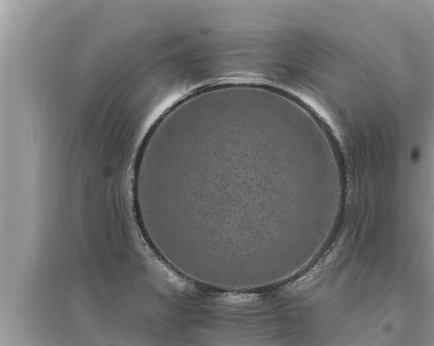 X0000095541325200712211339