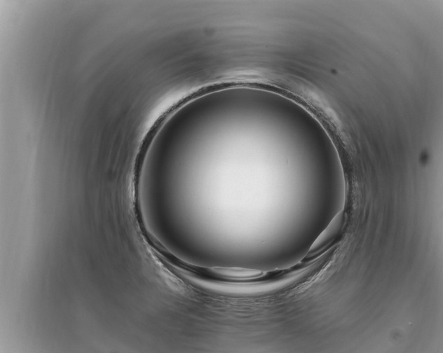 X0000095541328200712211339