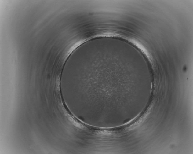 X0000095541329200712211339