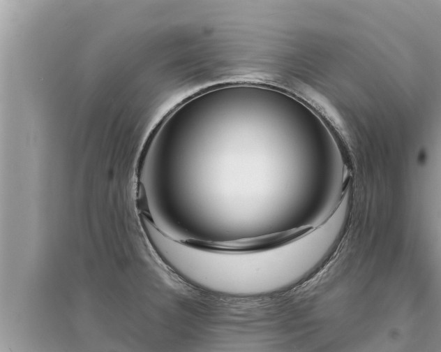 X0000095541332200712211339