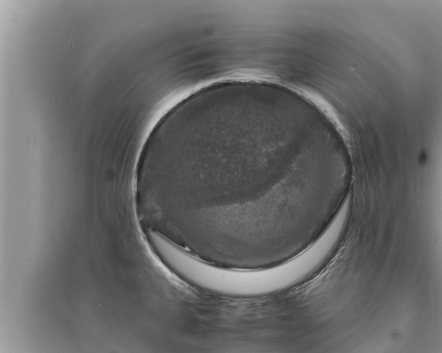 X0000095541335200712211339