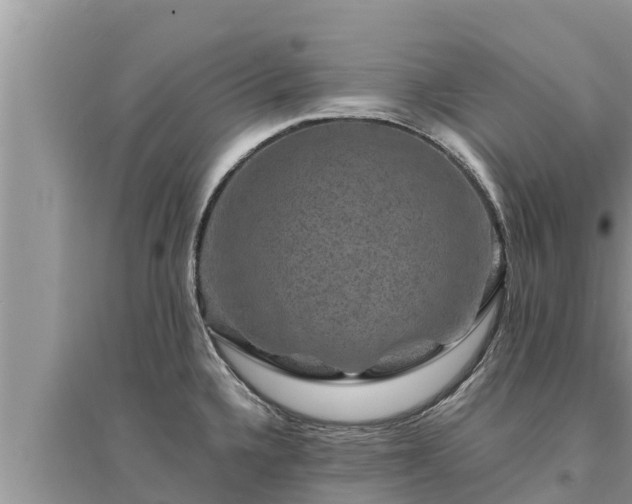 X0000095541336200712211339