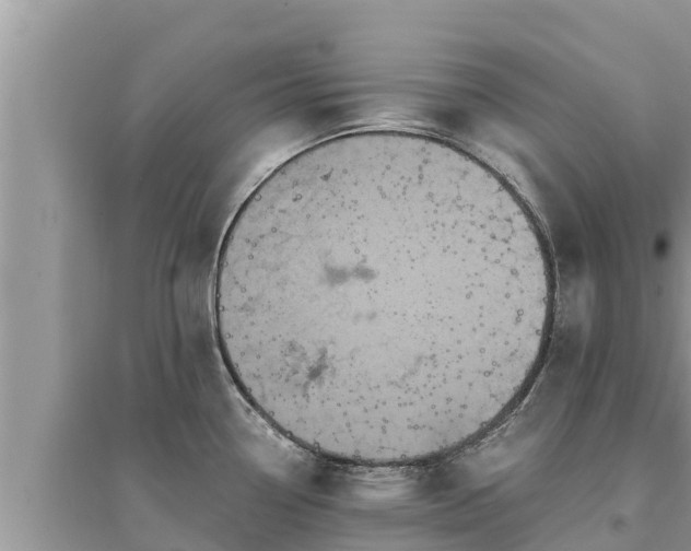 X0000095541338200712211339