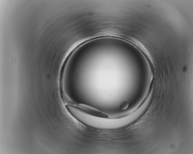 X0000095541339200712211339