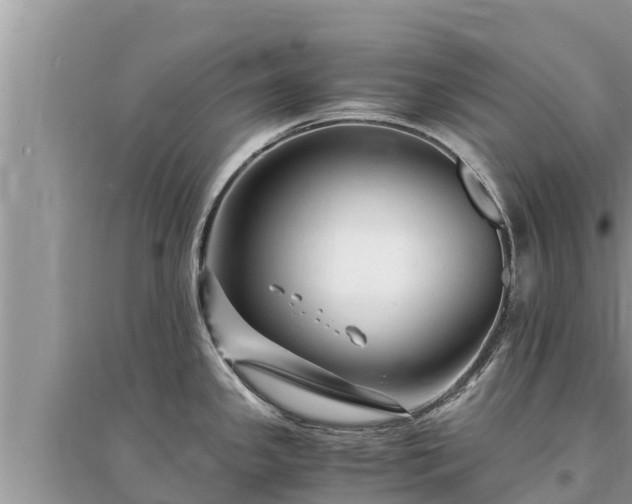 X0000095541341200712211339