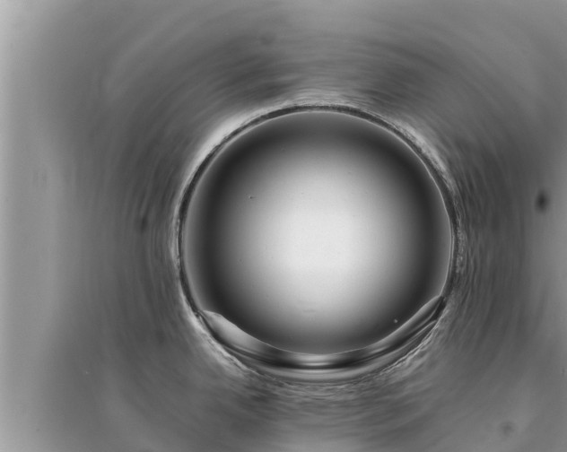 X0000095541342200712211339