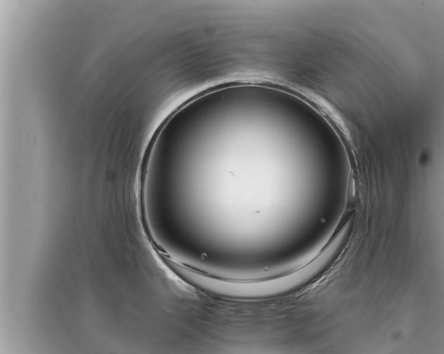 X0000095541343200712211339