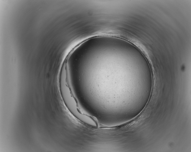 X0000095541344200712211339