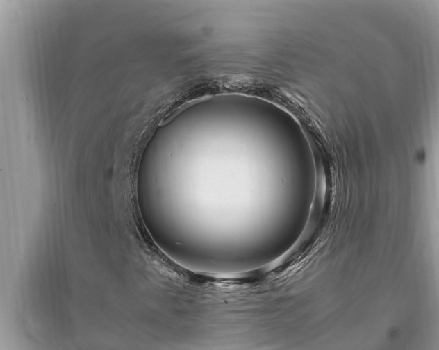 X0000095541345200712211338