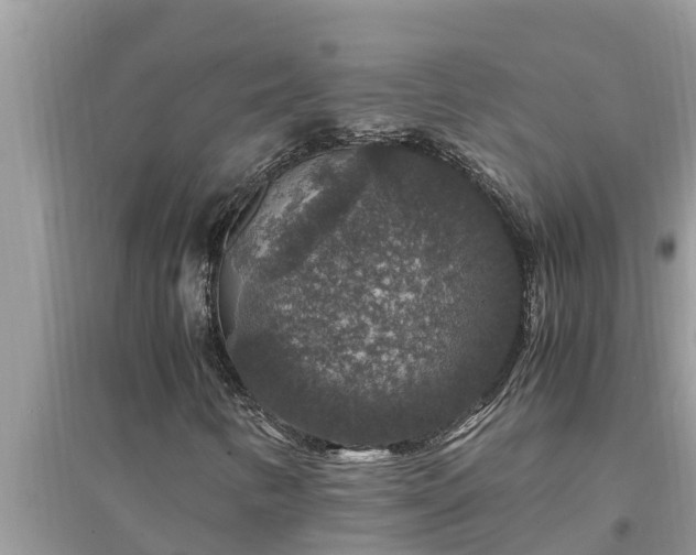 X0000095541346200712211338