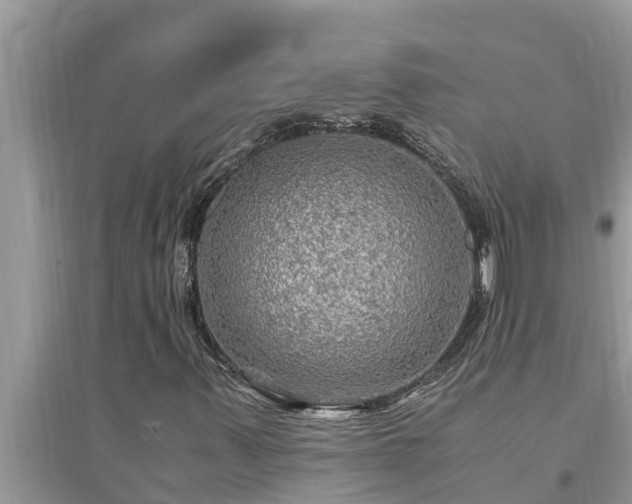 X0000095541347200712211338