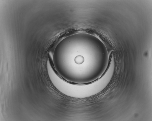 X0000095541348200712211338