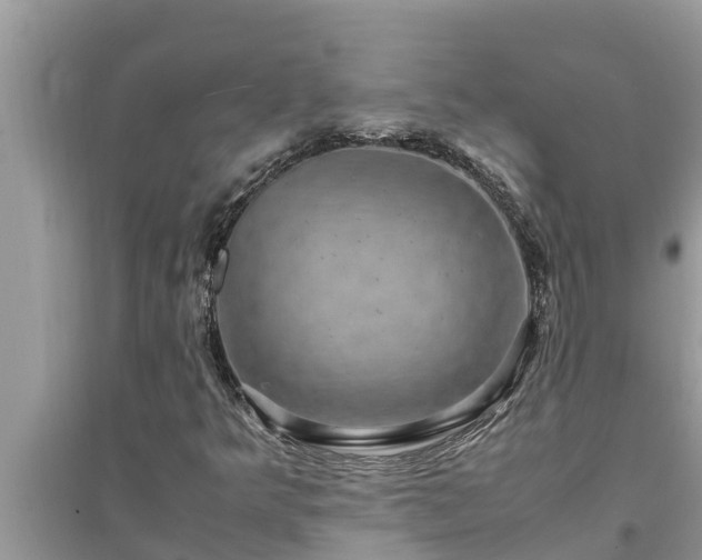 X0000095541349200712211338