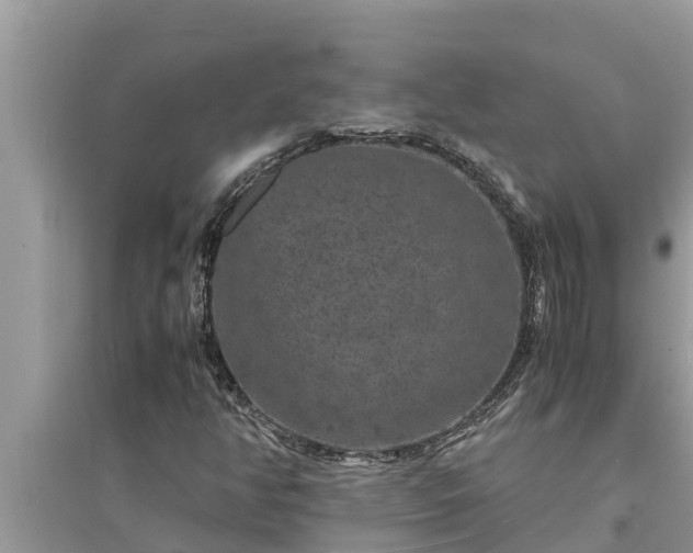 X0000095541350200712211338