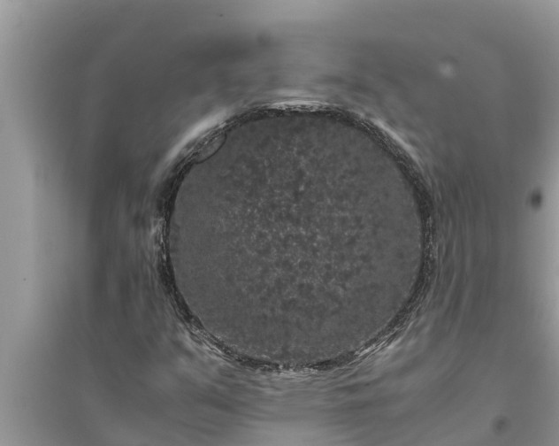 X0000095541351200712211338