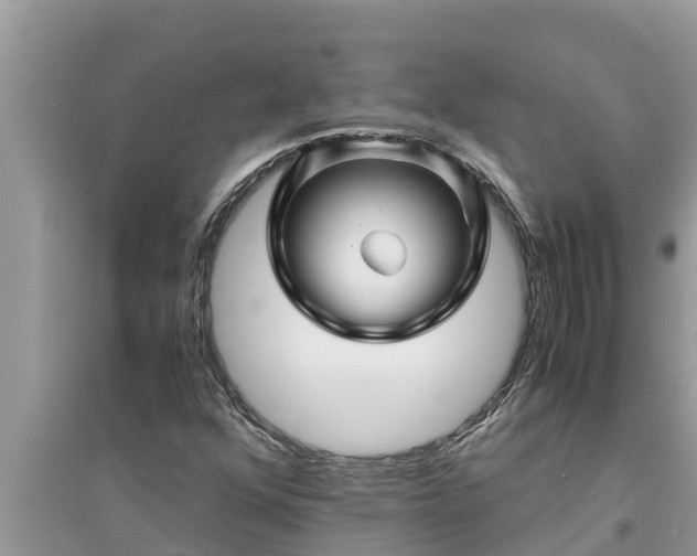 X0000095541352200712211338