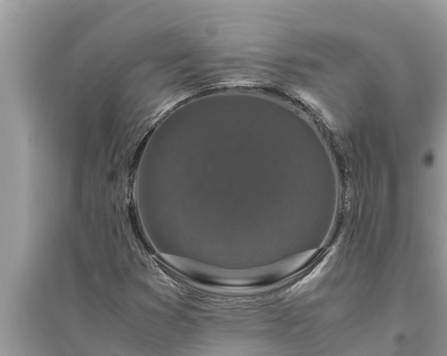 X0000095541353200712211338