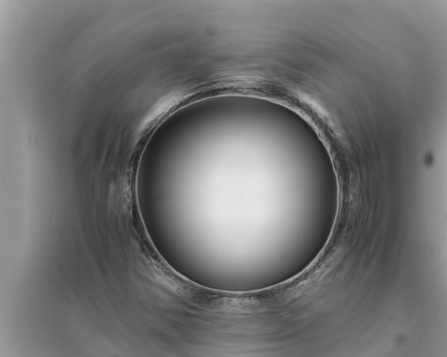 X0000095541354200712211338