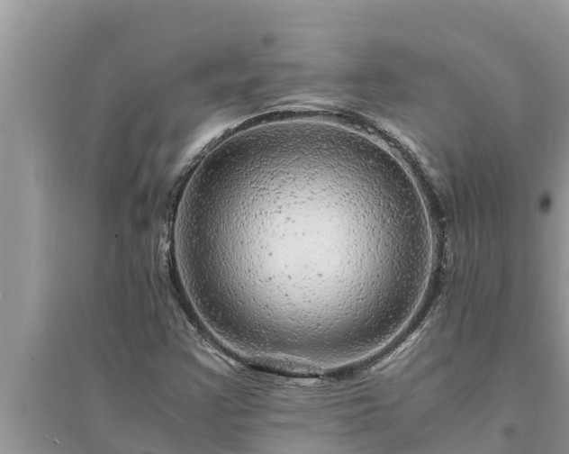 X0000095541355200712211338