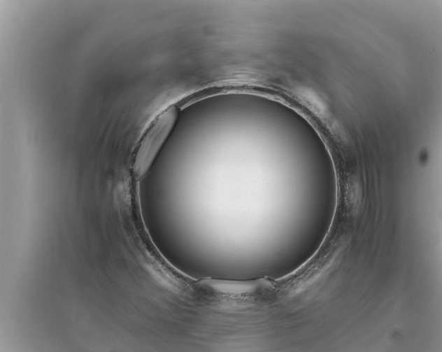 X0000095541356200712211338