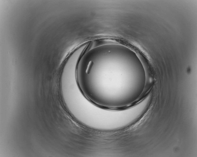 X0000095541357200712211338