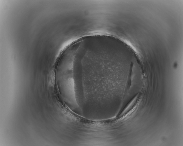 X0000095541358200712211338