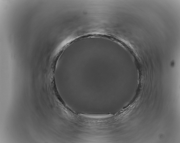 X0000095541359200712211338